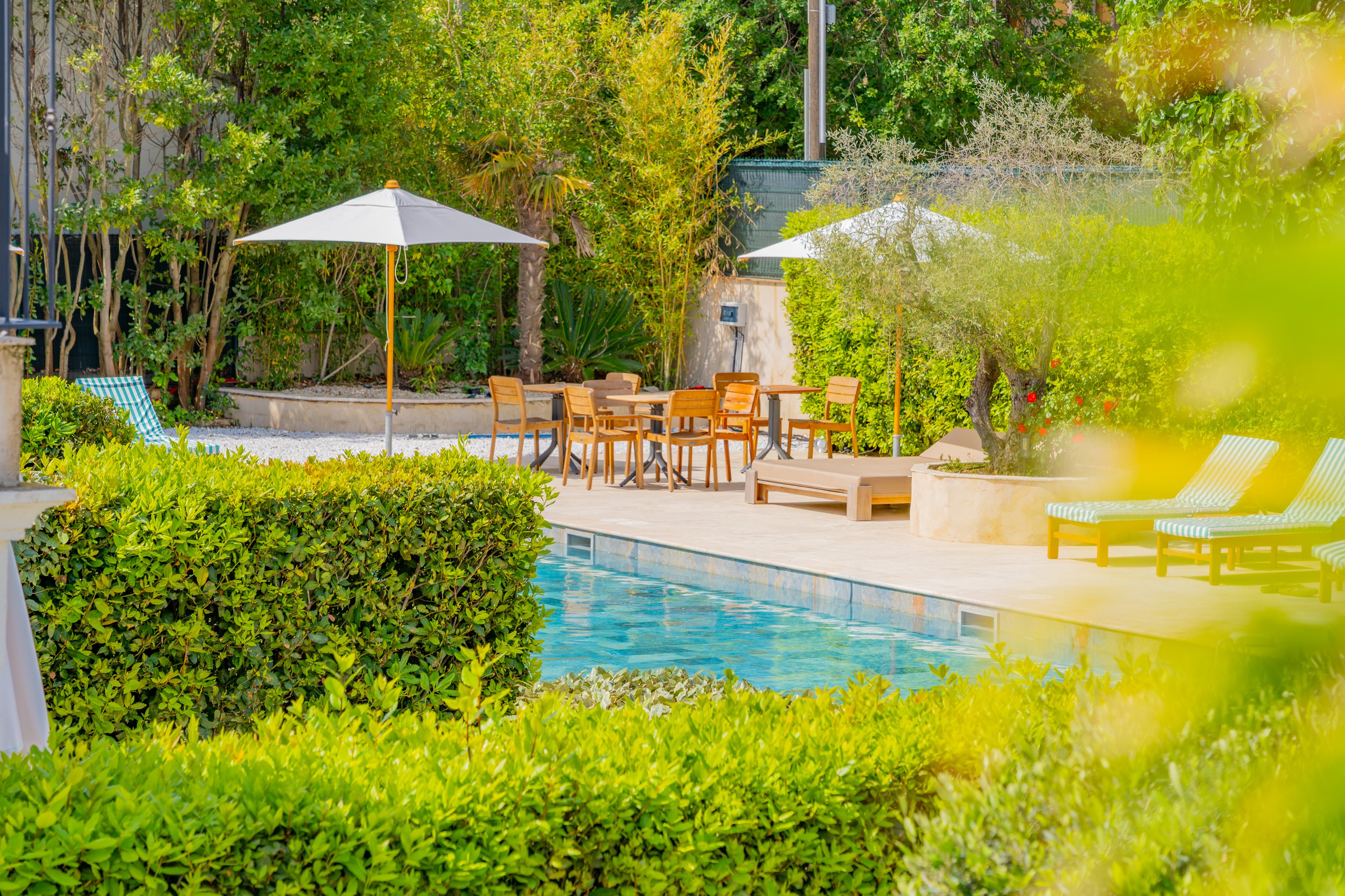 Piscine vue jardin